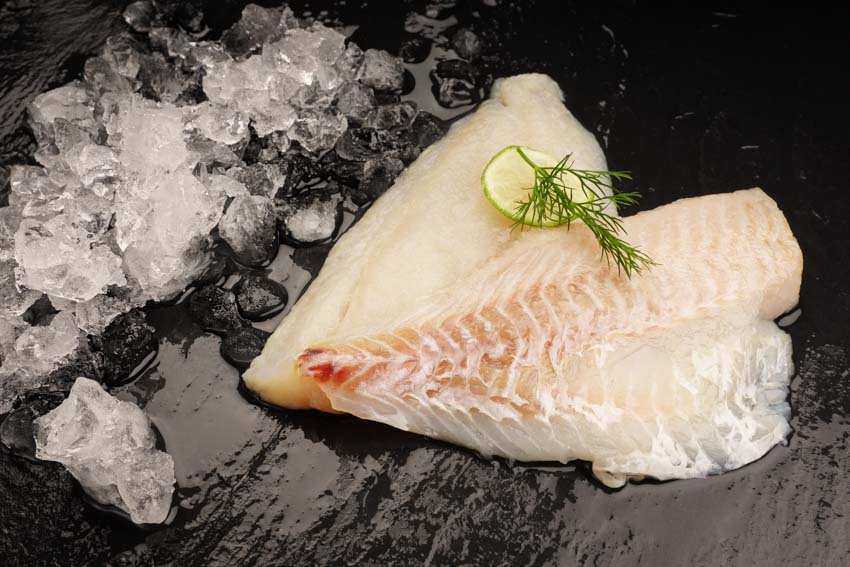 Rotbarschfilet