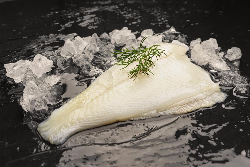 Pazifische Doppelschollenfilets aus Wildfang