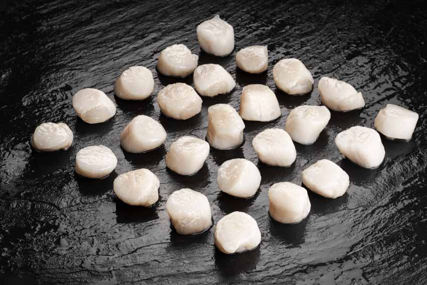 Tiefsee Scallops ohne Rogen, aus Wildfang