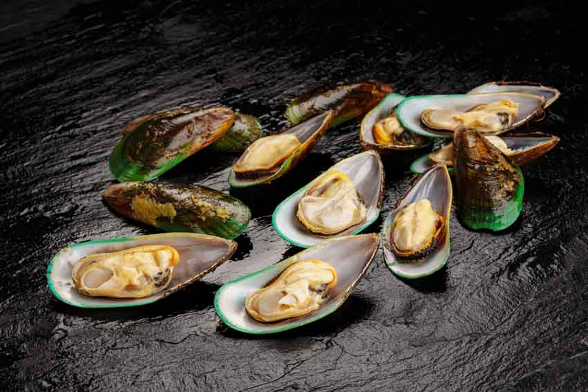 Grünschalmuscheln