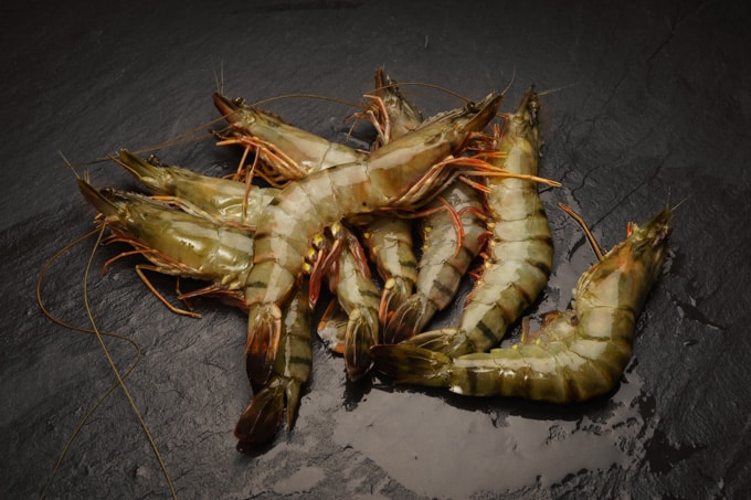 8/12 Black Tiger Gambas / Riesengarnelen mit Kopf und Schale