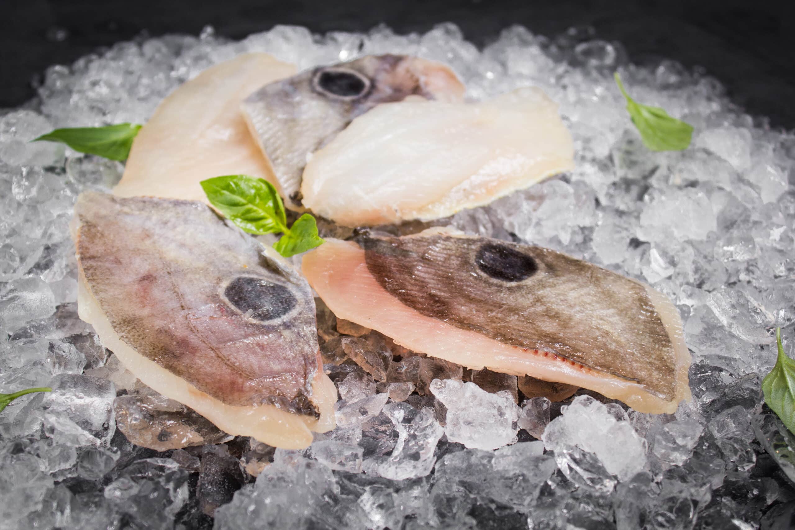 Pazifische Petersfischfilets