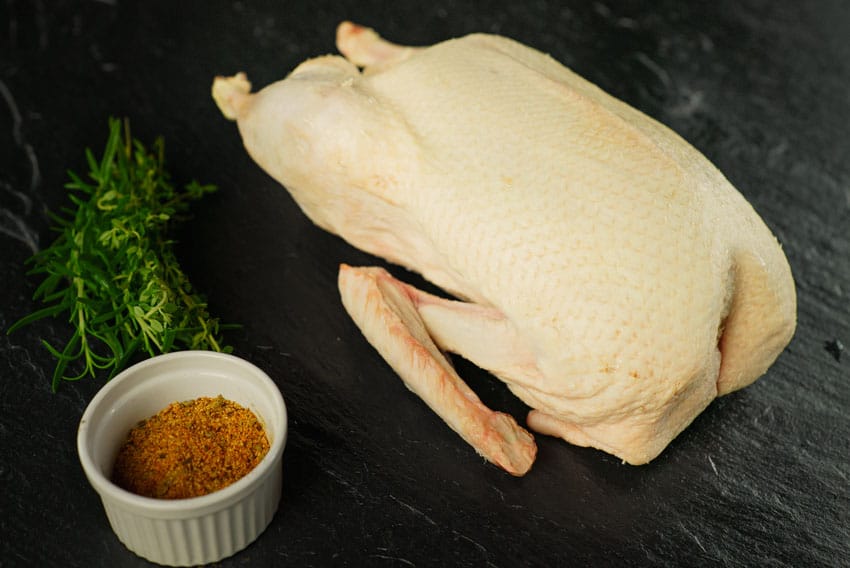 Markeruper Barbarie Ente