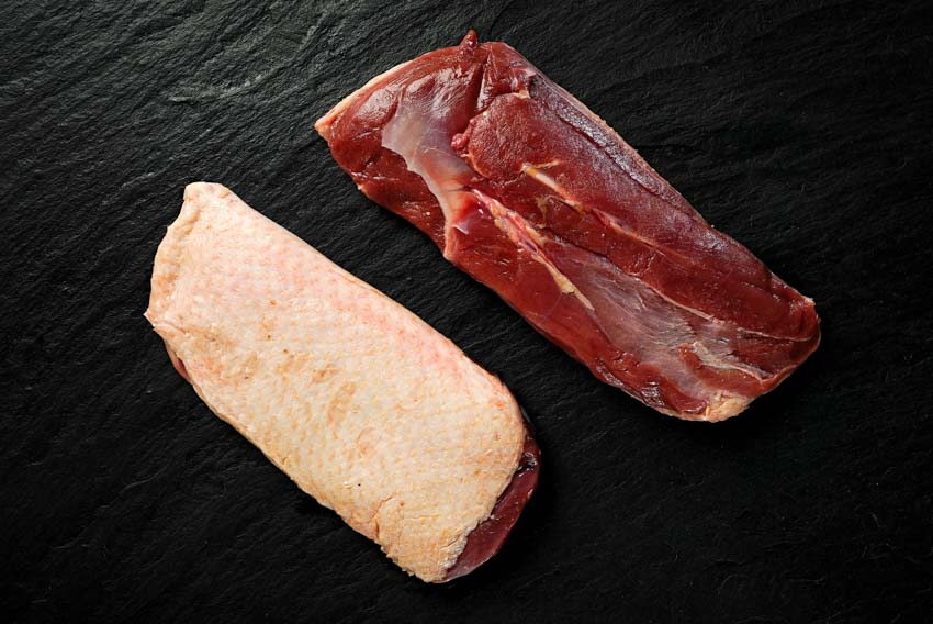 Markeruper Barbarie Entenbrust