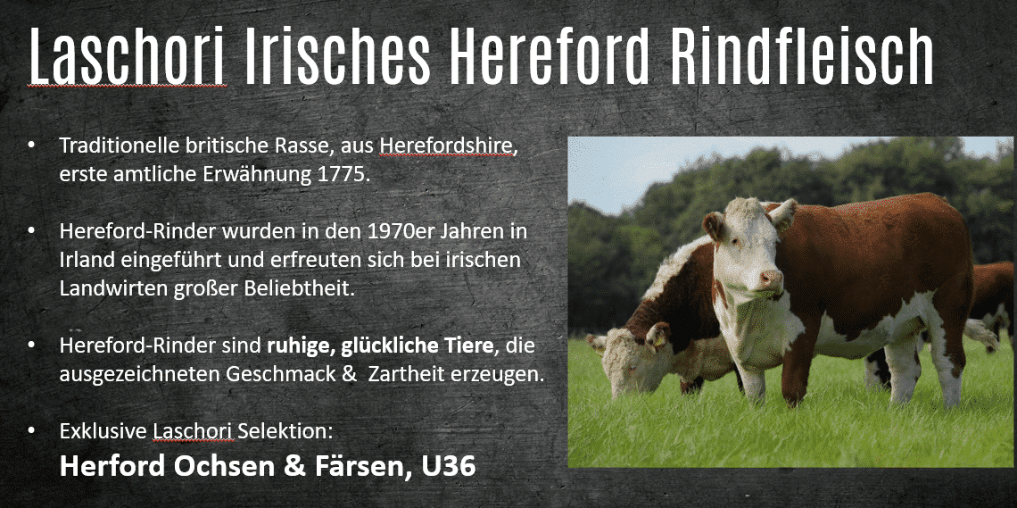Irisches Filetkopf Chateaubriand